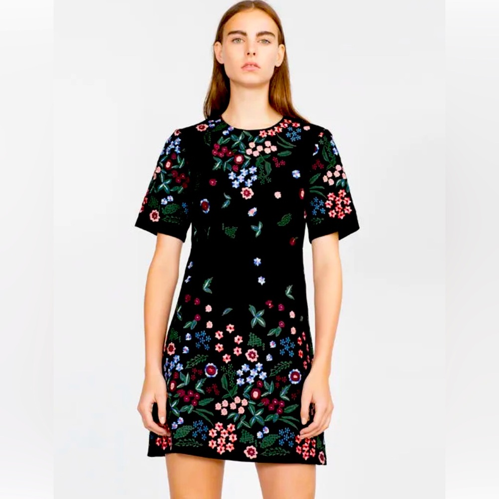 Zara Dress floral embroidered blogger fave size XS